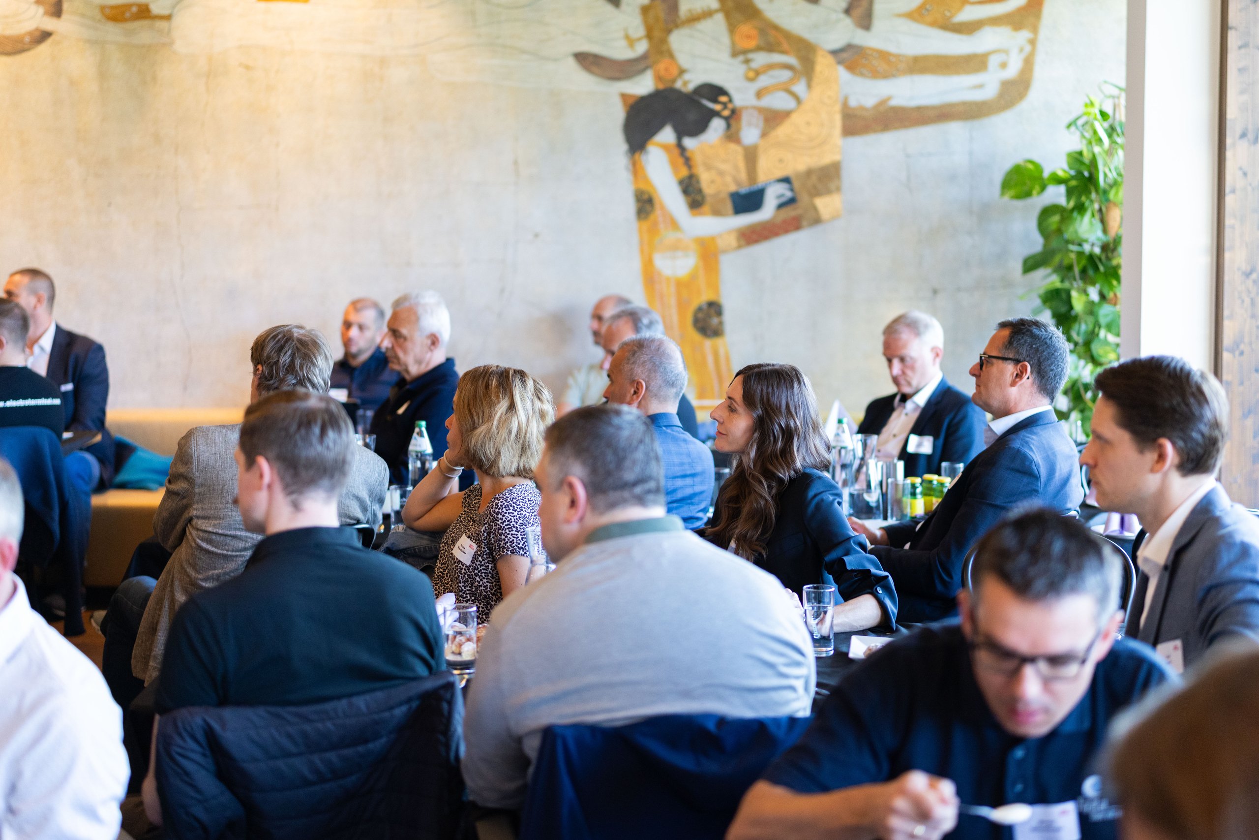 Straße in der Rossau mit dem Gebäude von Mode von Feucht im Hintergrund. Fokus liegt auf der Straße